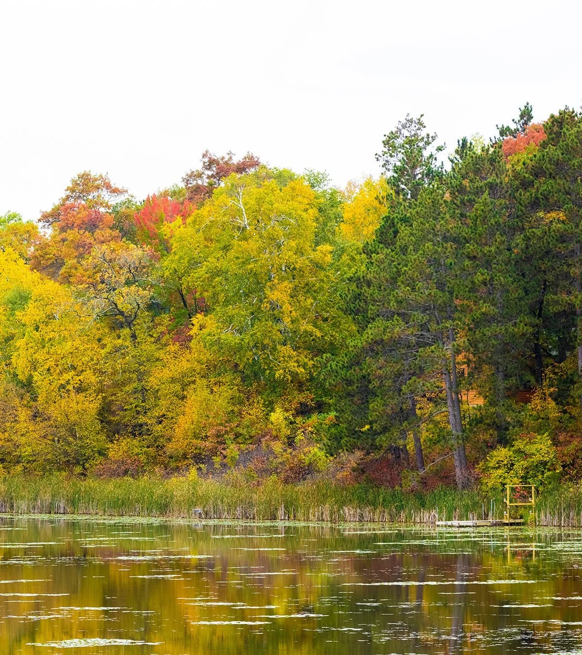 Ely